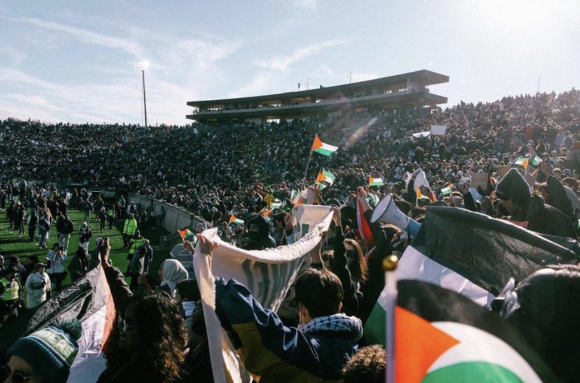 Harvard's newest task force to combat the rampant antisemitism on campus is set to be co-lead by a professor who was one of several signatories on a letter accusing Israel of being an apartheid regime. 